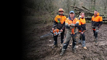 Undercut: l'oro di legno (2019- )