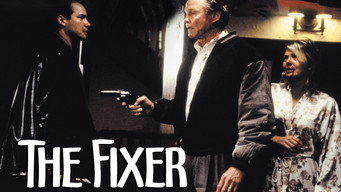 #2 The Fixer