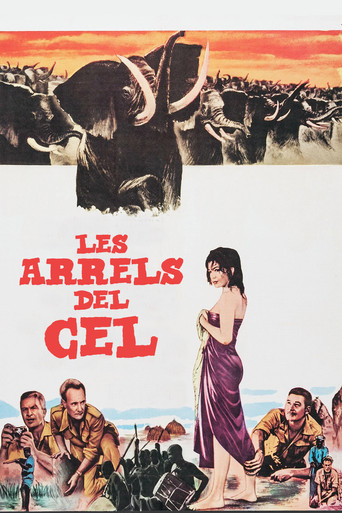 Cartell de Les arrels del cel