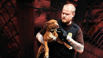 Philly Undercover (2012)