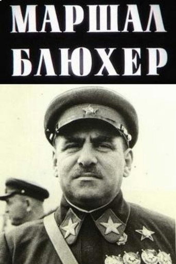 Marshal Blucher: A Portrait Against the Background of an Epoch