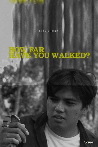 How Far Have You Walked? poster