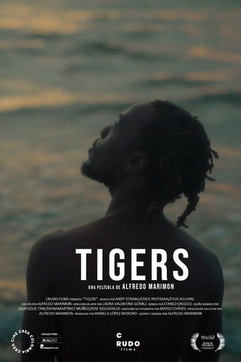 Tigers poster