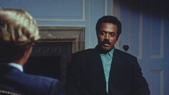 The Return of Superfly (1990)