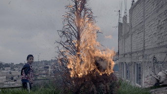 Fisuras media image