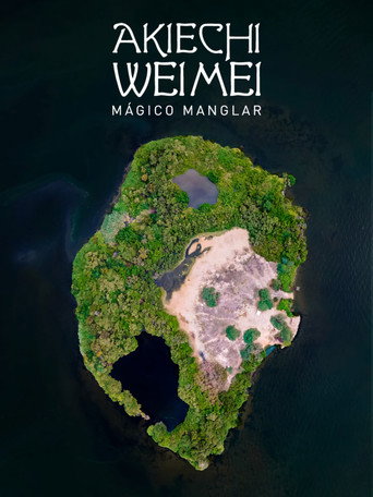 Akiechi Weimei, Magical Mangrove (2024)