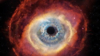 Cosmos media image