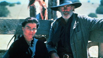 Into the Badlands (1991)