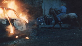 Pigs (1984)