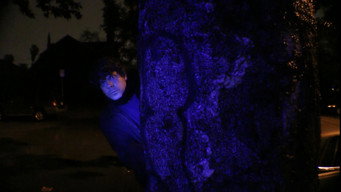 #7 Night Pulse