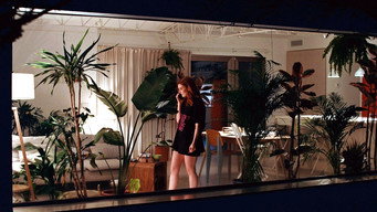 Cena 1 de Monstera