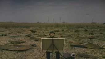 Залізо (1994)