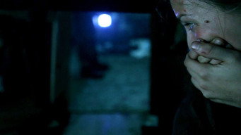 The Silent House (2010)