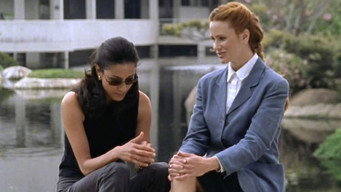 Voyeur Confessions (2001)