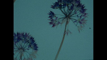 Herbaria (2022)