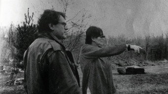 Chytilova Versus Forman (1982)