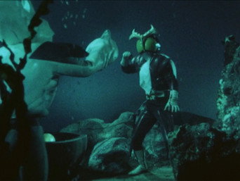Kamen Rider T5E21