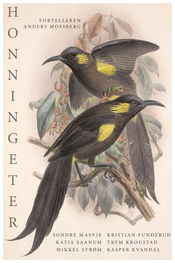 Медиа изображение