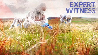 Expert Witness (2021- )