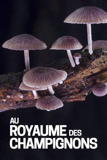 Au royaume des champignons en streaming 