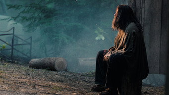 The Hermit (2025)