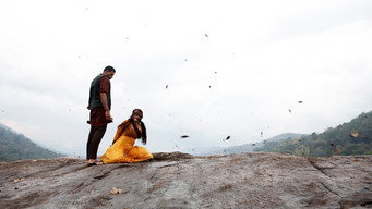 Raavan media image