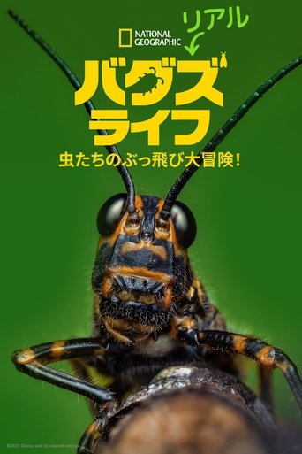 リアル・バグズ・ライフ:虫たちのぶっ飛び大冒険!