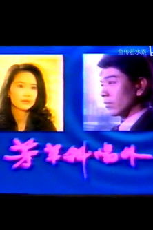 芳草斜阳外 poster