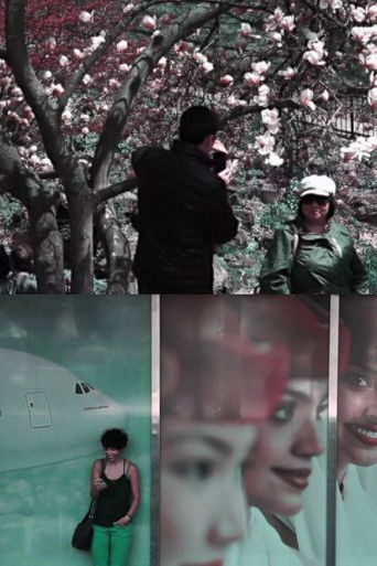 Incident Reports poster 1