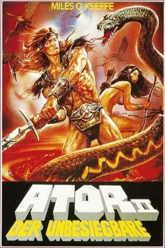 Ator 2 - Der Unbesiegbare