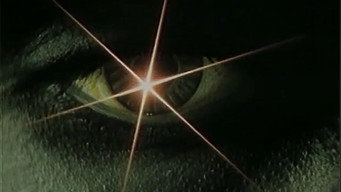 The Last Theft (1987)