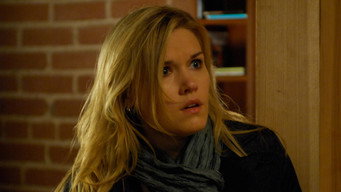 Le bel arnaqueur (2010)