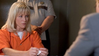 The Suspect (2006)