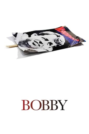 movie poster for Bobby