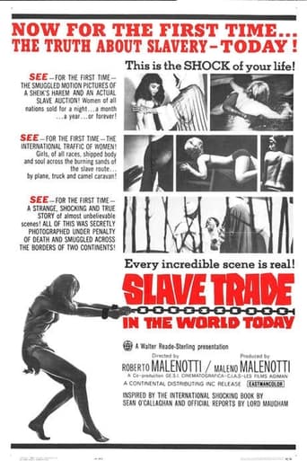 Poster of Slave Trade in the World Today