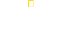 Wicked Tuna: Outer Banks logo