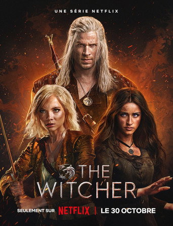 The Witcher — affiche alternative