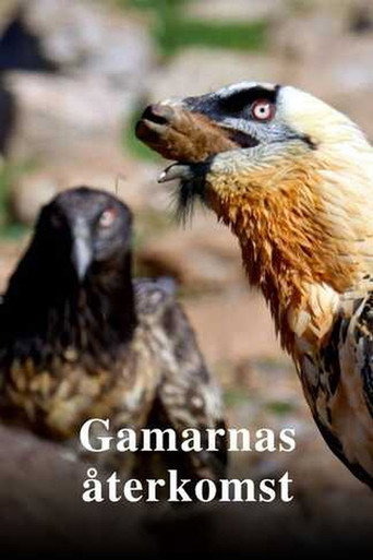 Return of the Vultures (2026)