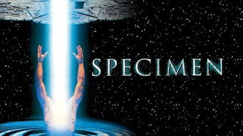 #6 Specimen