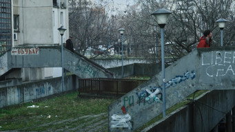 #7 Neighbour