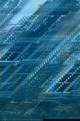 Zoom Lapse