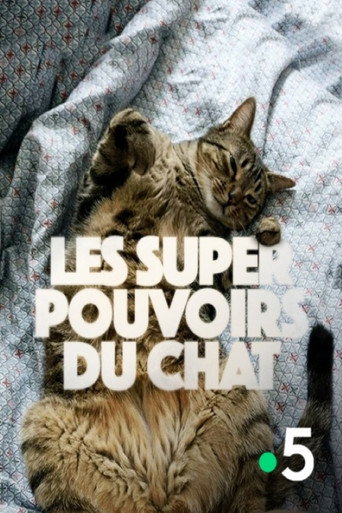 Les super-pouvoirs du chat poster