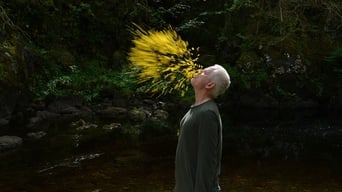 Leaning Into the Wind: Andy Goldsworthy (2017)