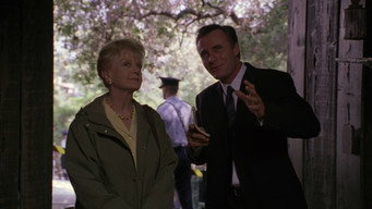 #5 Murder, She Wrote: The Celtic Riddle