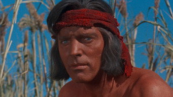 #21 Apache