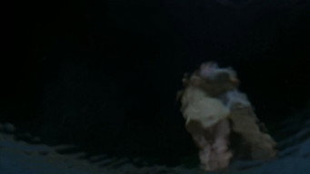 Still 11 from Lady in the Water