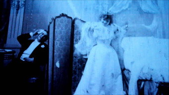 Bedtime for the Bride (1896)