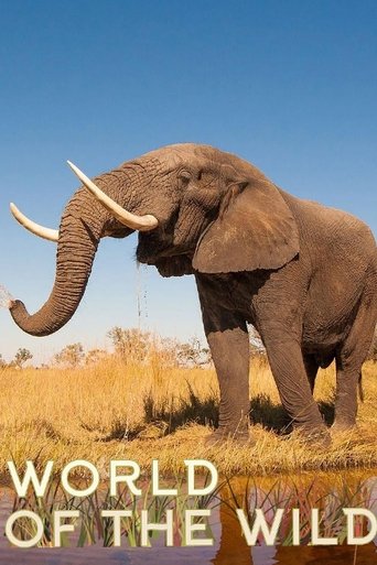 World of The Wild (2016)