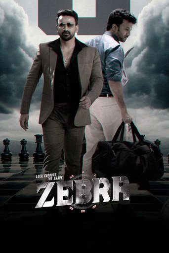 Zebra — Posters 13