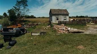 It Looks Pretty from a Distance (2011)